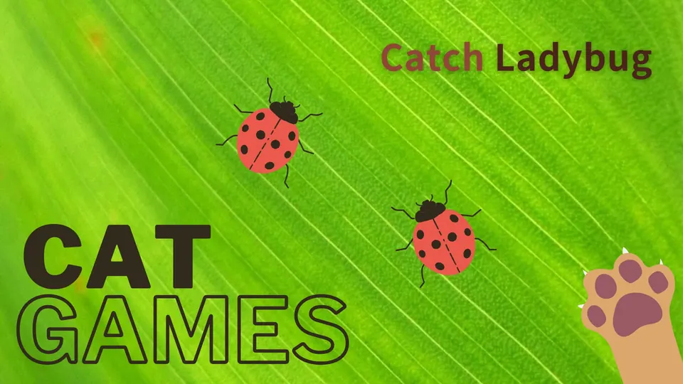 CatVerse Catch Ladybug game
